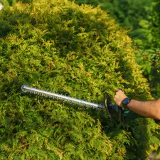 Mitarbeiter schneidet eine Thujahecke mit dem Heckenschneider