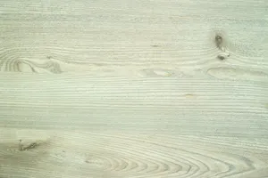 Helle Eschenoberfläche im Makro, deutliche Jahresringe und ruhige Maserungsbögen