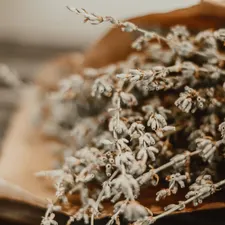 Getrockneter Lavendel in Packpapier, Makroaufnahme in gedämpften Brauntönen.