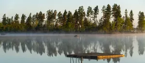 Holzsteg auf ruhigem See im Morgennebel, dahinter ein Kiefernufer im ersten Sonnenlicht